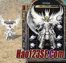 ��ʧ����װ������