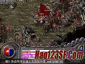 ʢ�������