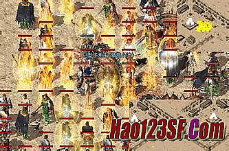 ��ͨ���Ŵ���˽��