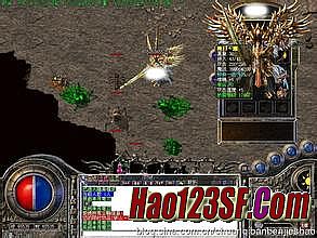 ���������Զ�Ѱ·