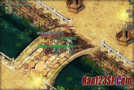 ��Ѫ����1.76װ������