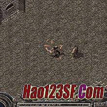 �й����Ŵ���1.76